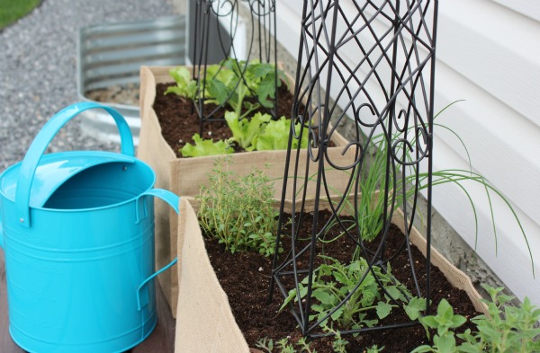 Kitchen Container Potager with Vegetables and Herbs in Burlap Container 