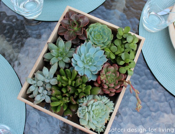 Outdoor Table Setting with Succulents in Wood Box