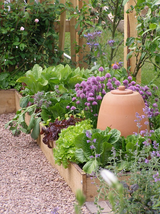 Raised Bed Garden with Terracotta Rhubarb Forcer - Crocus Kitchen Garden Blog