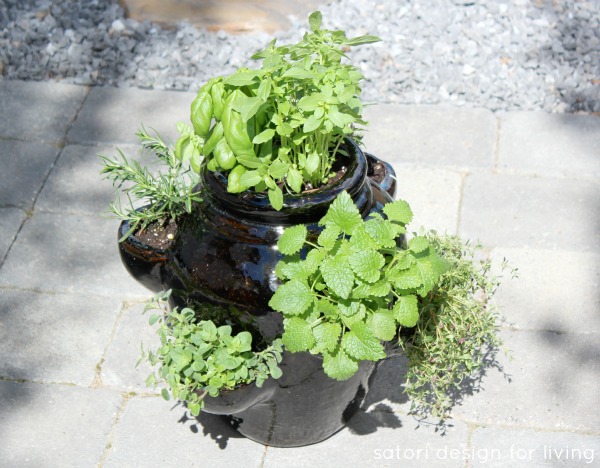 Strawberry Pot Herb Garden with Basil, Oregano, Rosemary, Thyme and More Plants