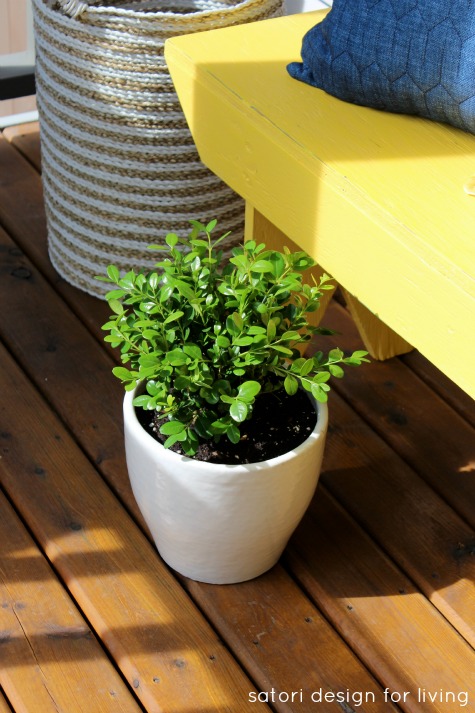 Vintage Yellow Outdoor Bench with Potted Boxwood on Front Porch