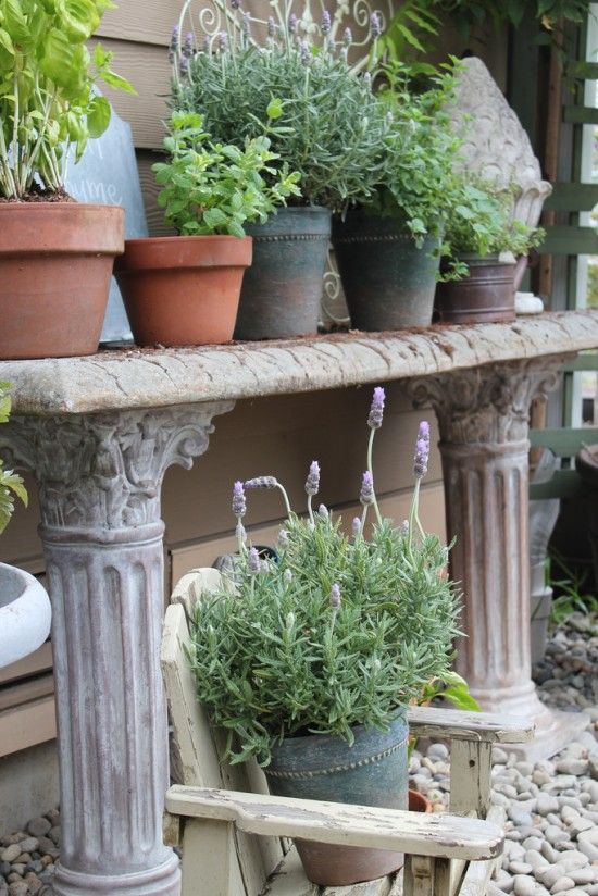 Herb Garden in Pots - Stone Potting Bench 