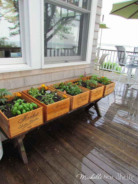 DIY Wine Crate Herb Garden 