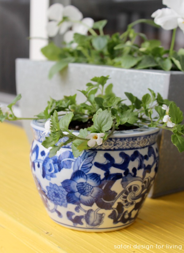 Decorating the Front Porch for Spring - Blue and White Chinoiserie Pot with Bacopa 