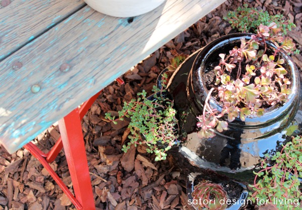 Weathered Red Bench with Succulents in Strawberry Pot - DIY Container Garden 