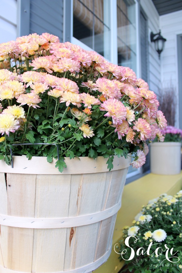 Fall Front Porch Decorated with Pink Chrysanthemums in Apple Basket