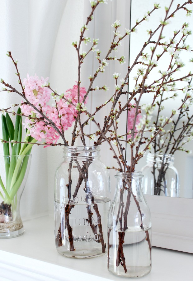 How to Force Branches to Bloom Indoors 