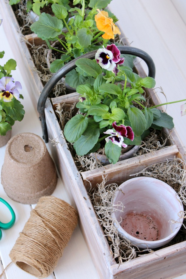 Vintage Tool Box Planter with Pansies