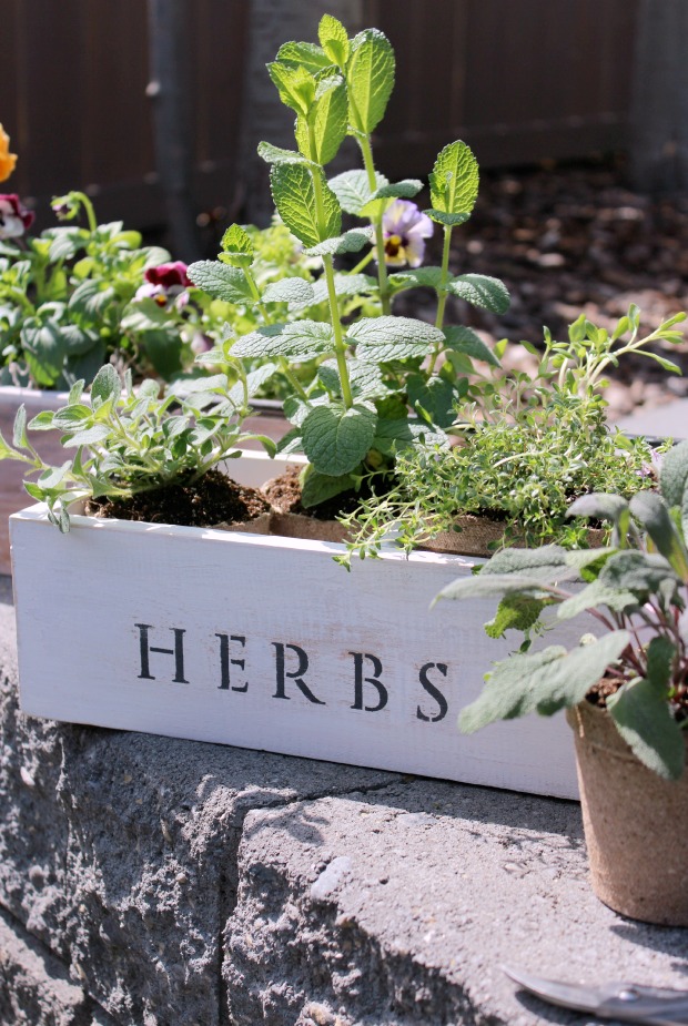 Vintage Tool Box Flower and Herb Planters