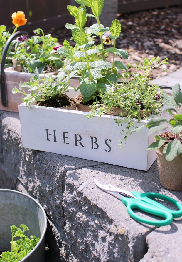 Vintage Tool Box Herb Planter Made From Old Wood Tool Box