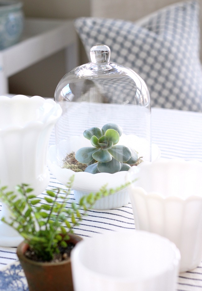 Succulent Cloche Terrarium - Spring Decorating Ideas Using Plants