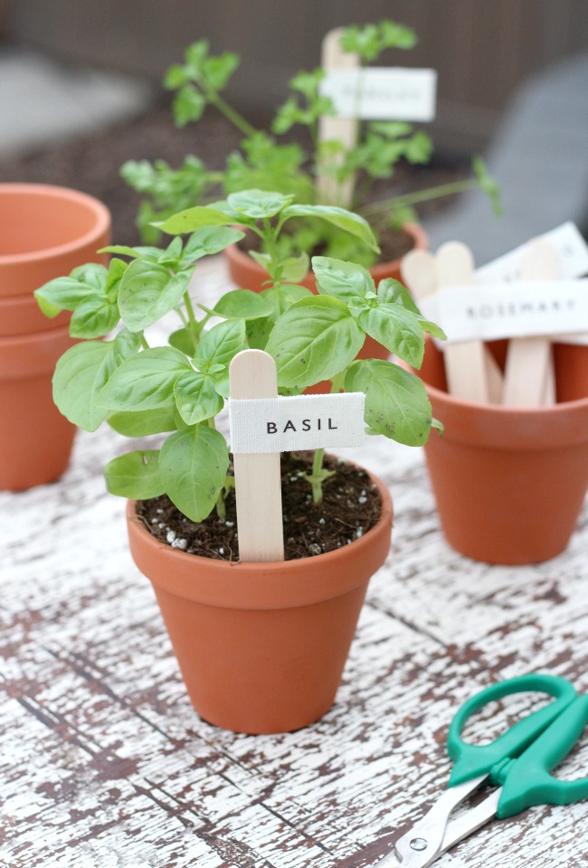 DIY Canvas Garden Markers for Potted Herbs and Vegetables