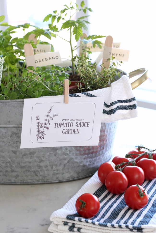 Hammered Tin Basket Filled with Herbs and Plants - Grow Your Own Tomato Sauce Garden Gift Basket