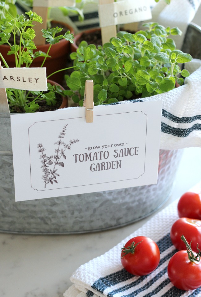 "Grow Your Own Pasta Sauce Garden" Gift Idea for the Gardener or Foodie - Tomato Plant Gift Idea