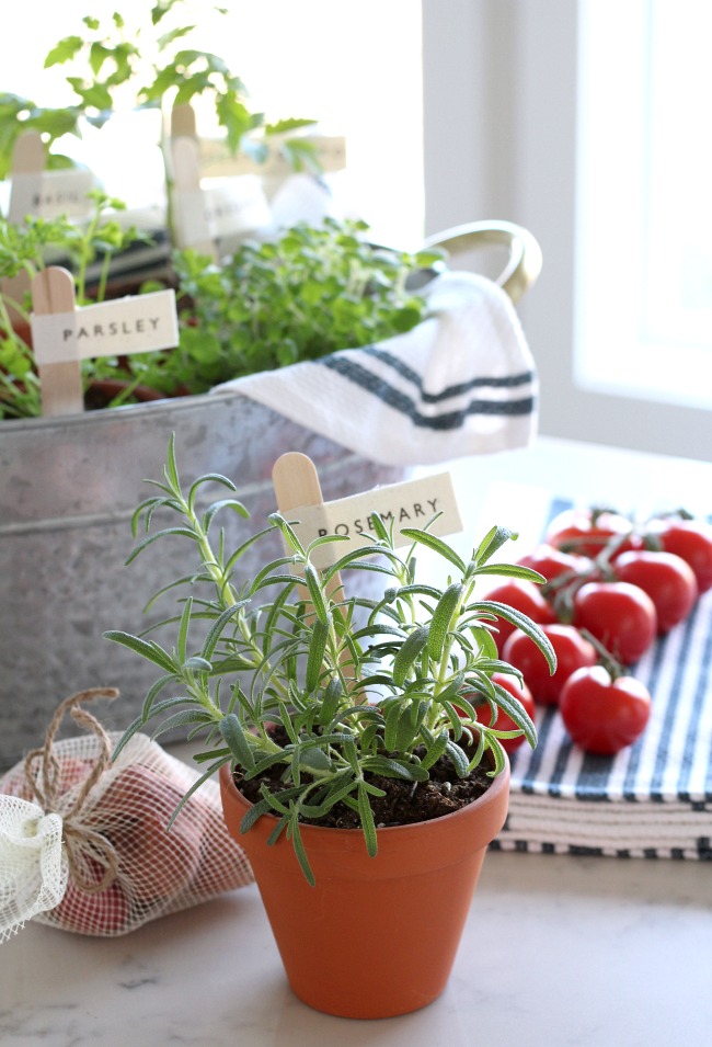 Potted Herbs with DIY Garden Markers - Grow Your Own Tomato Sauce - Gift Basket Idea