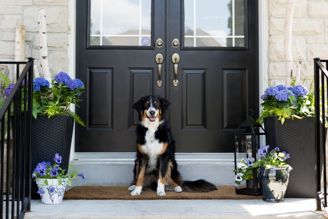 DecoArt Colonial Black Front Door by Craftberry Bush