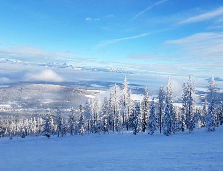 Kimberley Alpine Resort