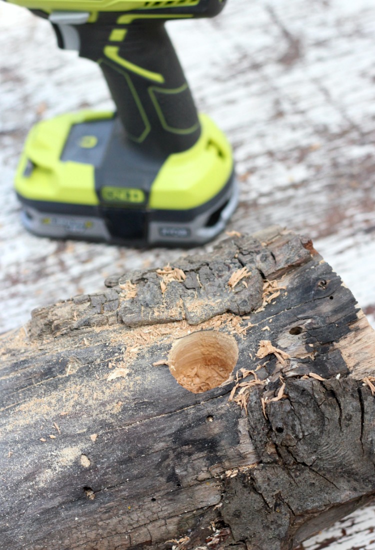 How to Make a Log and Succulent Centerpiece, Including Drilling a Hole in a Log