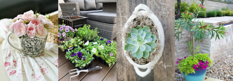 Plant and Flower Project Ideas - Outdoor Extravaganza 2018