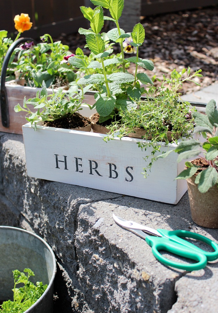 Repurposed Tool Box Planters with Herbs