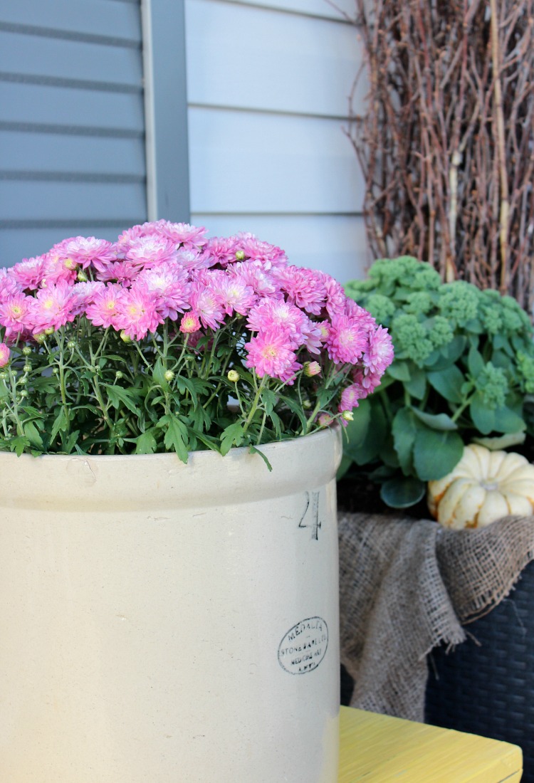 Vintage Crock Planter with Garden Mums on Yellow Bench