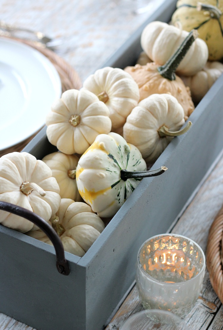 Faux Concrete Centerpiece with Baby Boo Pumpkins and Gourds