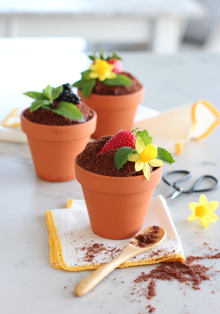 Spring Flower Pot Cakes Made with Chocolate Cake, Frosting, Crumbs, Fresh Berries and Mint