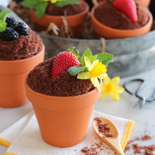 Spring Flower Pot Cakes - Satori Design for Living