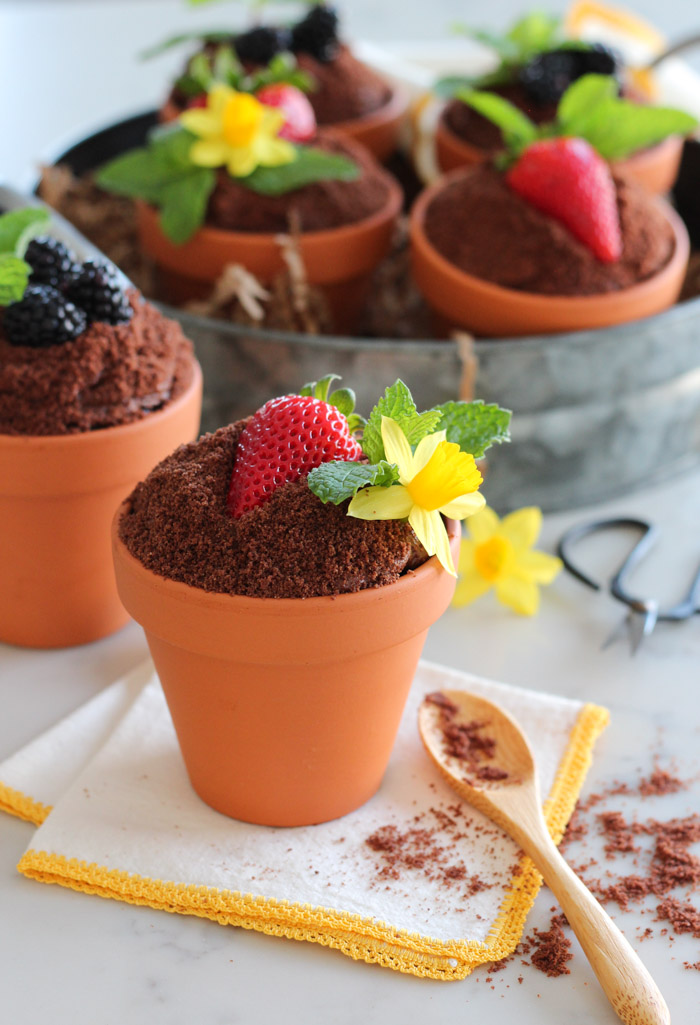 Spring Flower Pot Cakes Made with Chocolate Cake, Frosting, Crumbs, Fresh Fruit and Mint