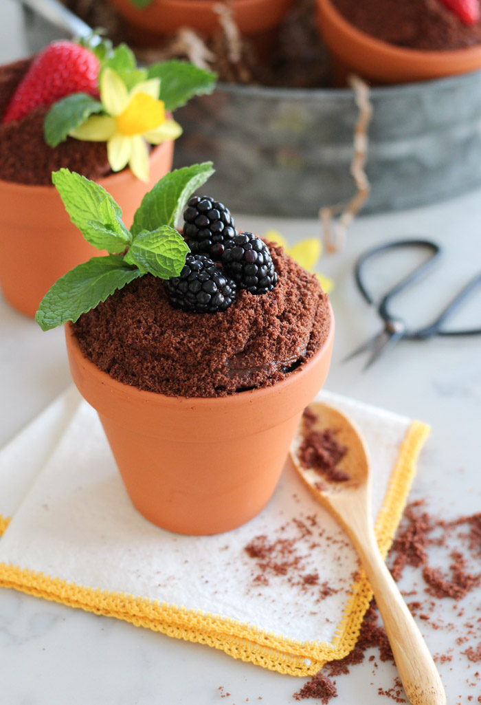 Chocolate Cake Baked in Flower Pots and Topped with Frosting, Crumbs, Berries and Mint