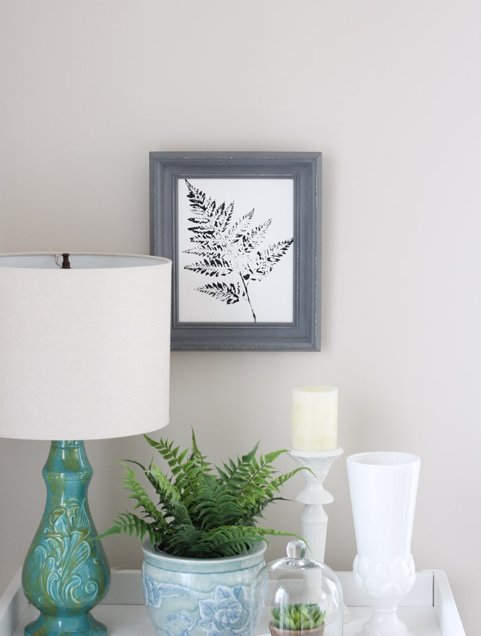 Black and White Fern Art with Grey Frame