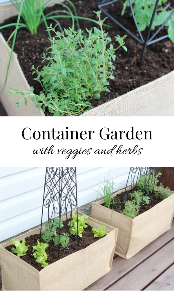 Kitchen Container Garden with Vegetables and Herbs - Burlap Planter