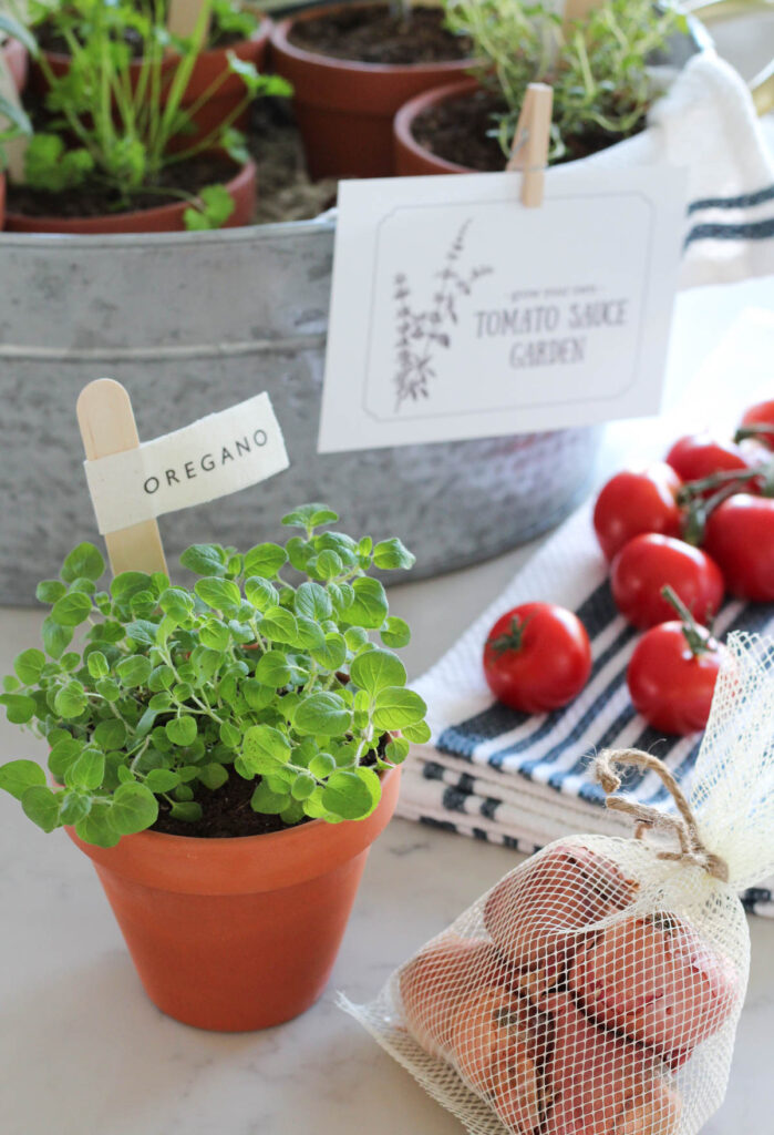 Small Potted Herbs, Tomato Plants, Onion Bulbs and More to Create a Tomato Sauce Garden Gift Basket