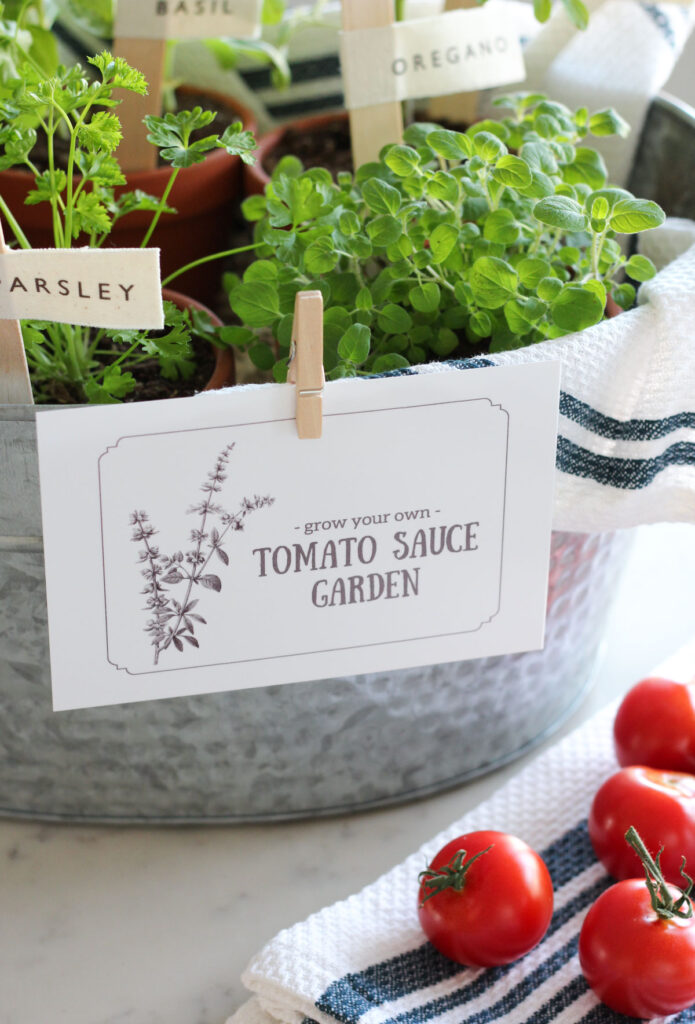 "Grow Your Own Pasta Sauce" Gift Basket for the Gardener or Foodie with Potted Herbs, Tomato Plants and More