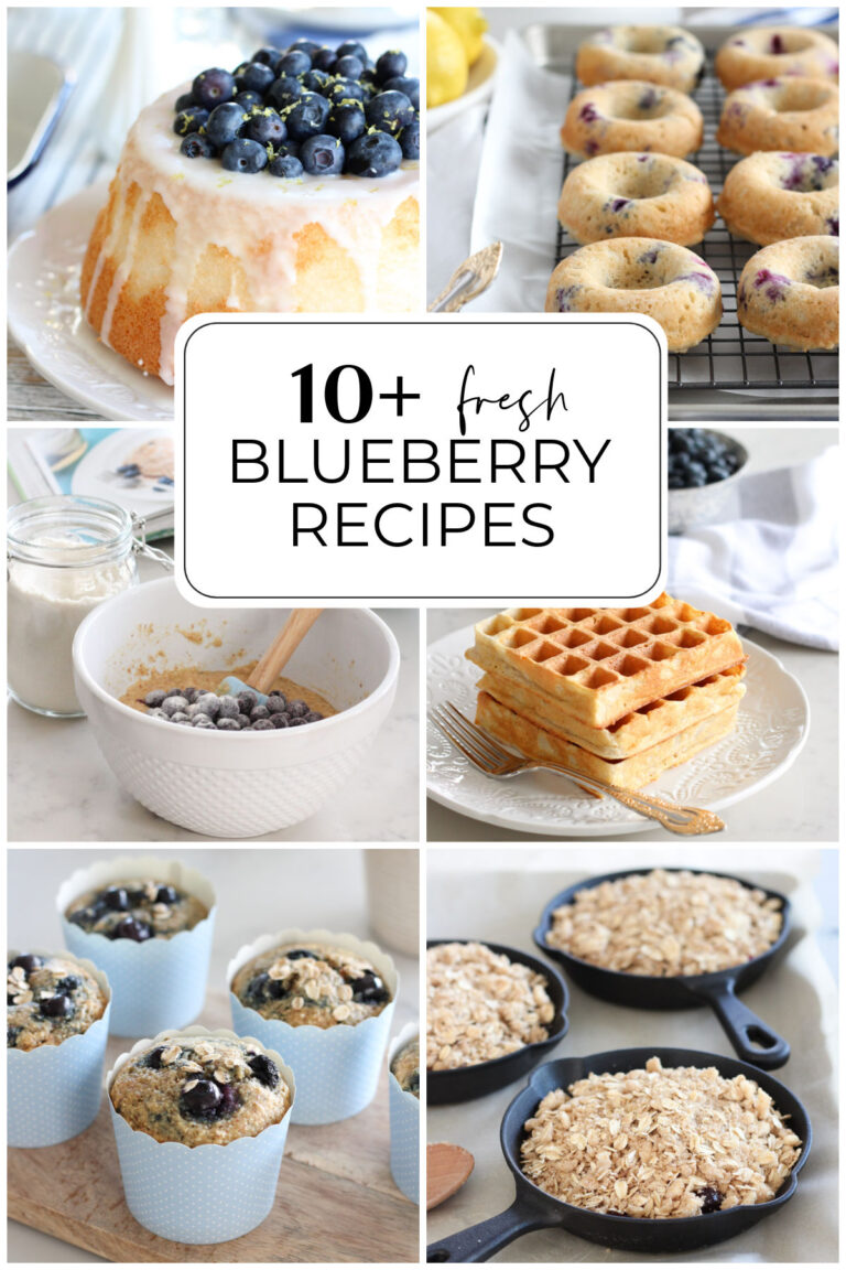 Collection of Fresh Blueberry Recipes, Including Donuts, Crisp, Muffins and More
