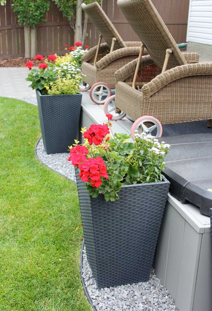 Grey wicker planters surrounding deck with red geraniums, euonymous shrubs, and iberus